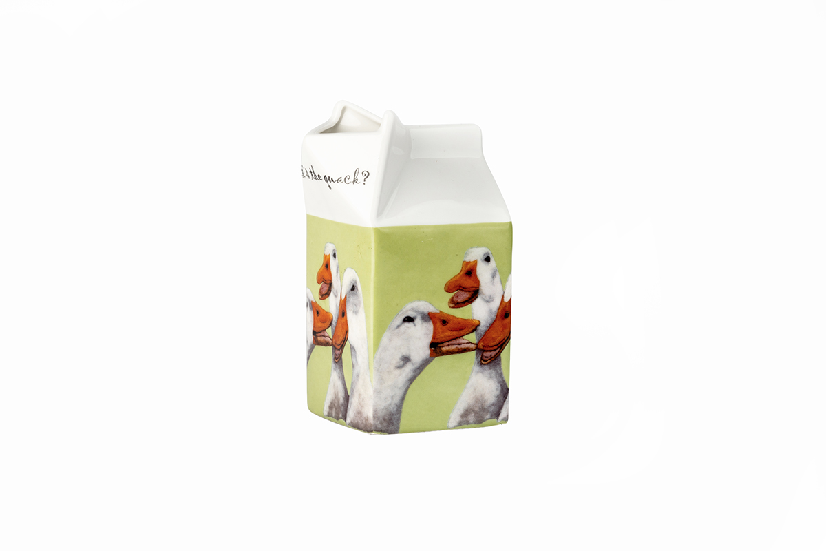 Carton Jug