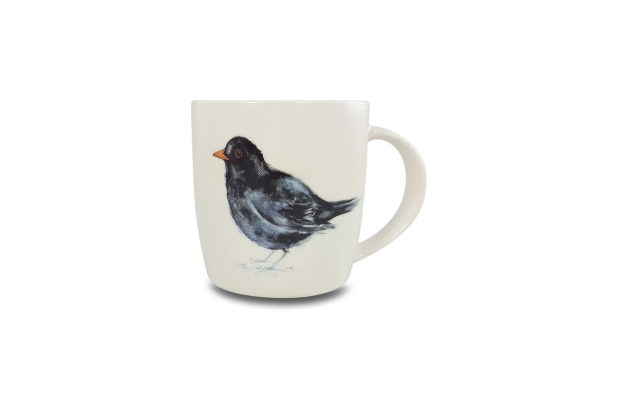 Birds of Ireland
